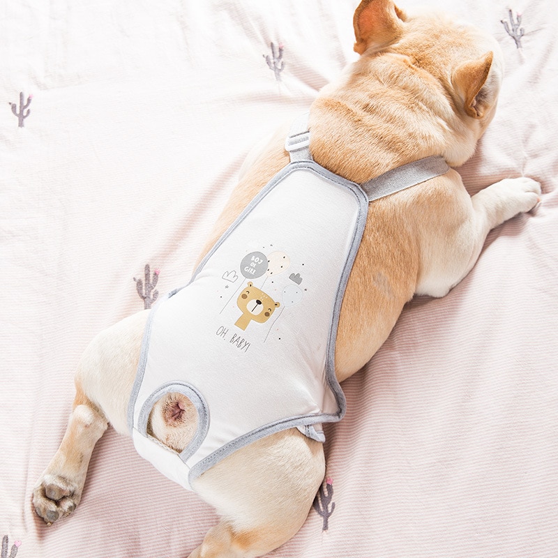 Lov kamp fysiologiske bukser bulldog menstruationsbukser tæve kvindelige hund sanitære bukser anti-chikane kæledyr hund sikkerhedsbukser