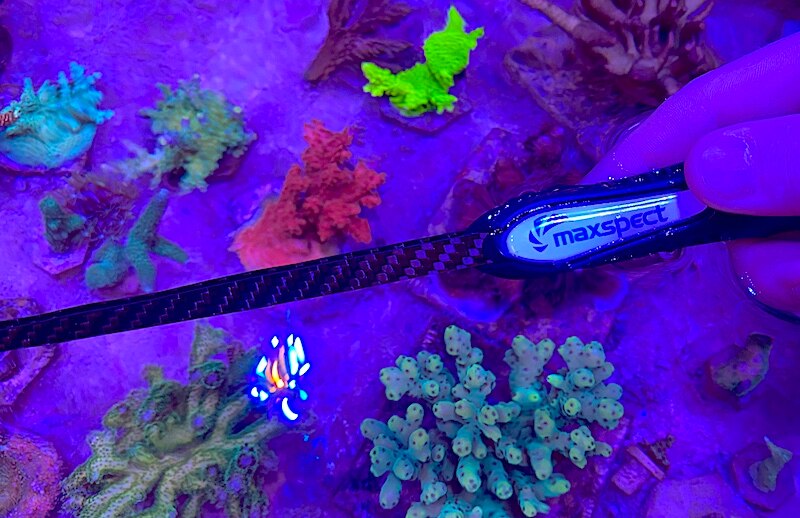 Maxspect akvarium kulfiber float koral pincet