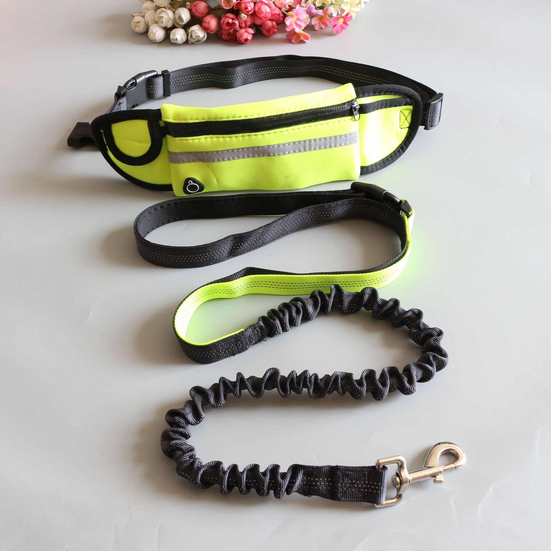 Style Pet Puppy Accessories Running Dog Leashes: Green