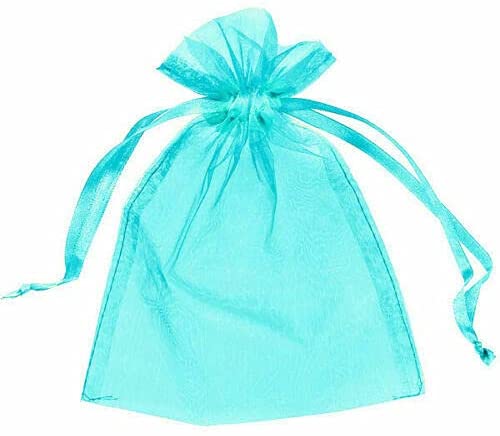 50Pcs Aardbei Druiven Fruit Bescherming Zakken Ongediertebestrijding Anti-Vogel Tuin Netting Zakken Mesh Druif Bag Planter Grow tassen: sky blue / 17x23cm