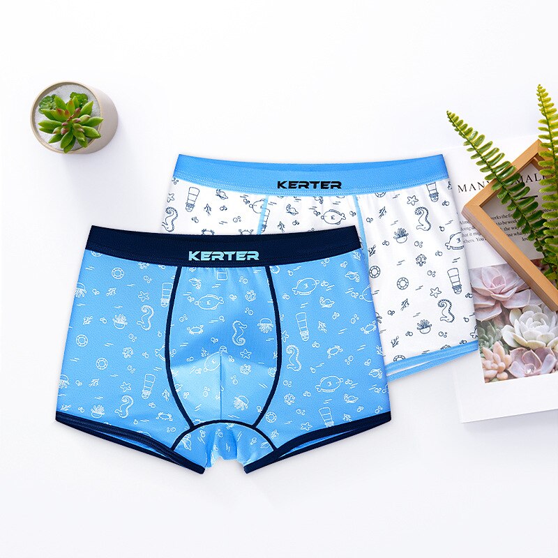Goocheer 2Pcs/Set Kids Boys Underwear Dinosaur Printing Boxer Cotton Children's Underwear Boys Boxer Briefs
