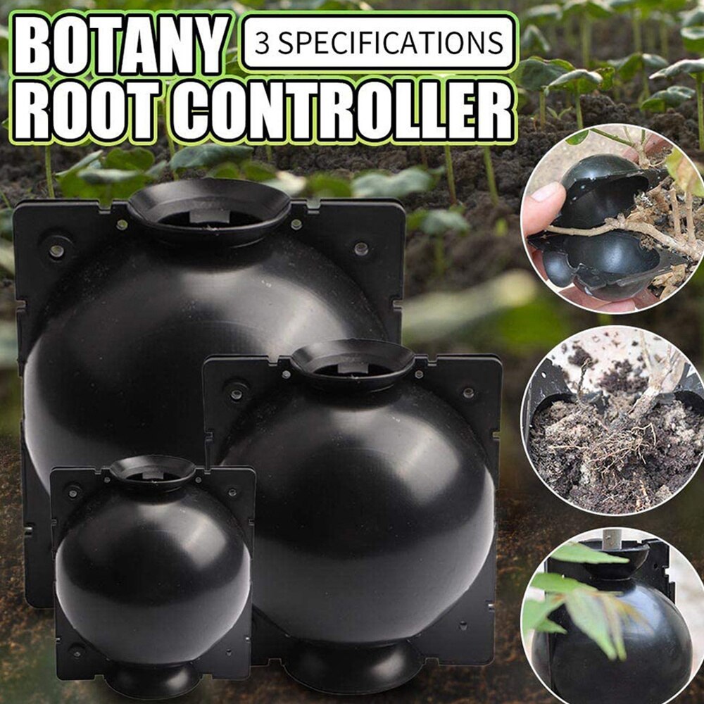 3PC SBotany Root Controller Booster Root Growth Box Soil Cultivate Vase for Rose