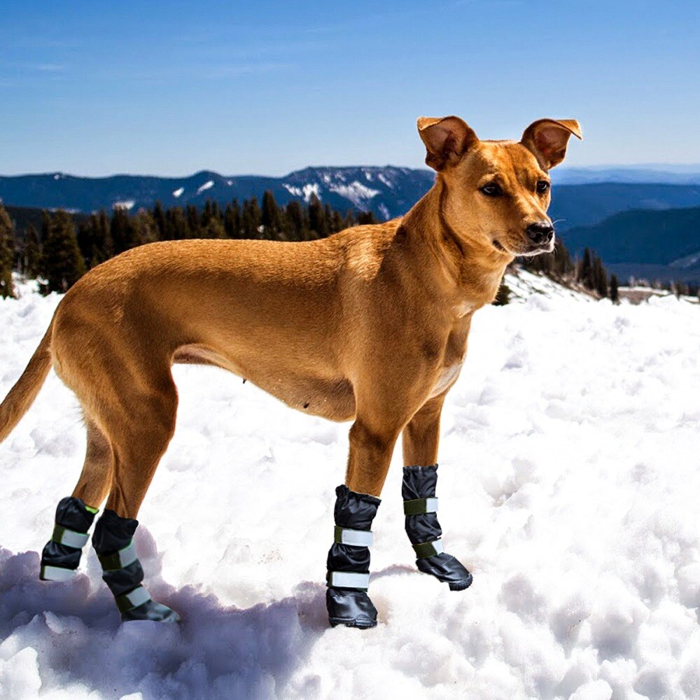 100% wasserdichte Große Hund Schuhe mit Gummi Sohle Winter draussen Schnee Stiefel Naht Abdichtung Regen Jack Stiefel Mittel groß Hund schuhe