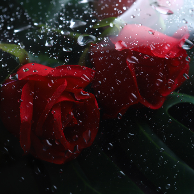 Rollo de película de PVC de celofán transparente, cestas de ramo de flores para , papel de , suministros de embalaje decorativos para manualidades, 1/2 Uds.