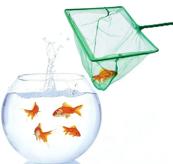 Vierkant aquariumvisnet met lange steel Schepnet voor vissen Drijvende objecten Krabnet Hengeldroger Handnet