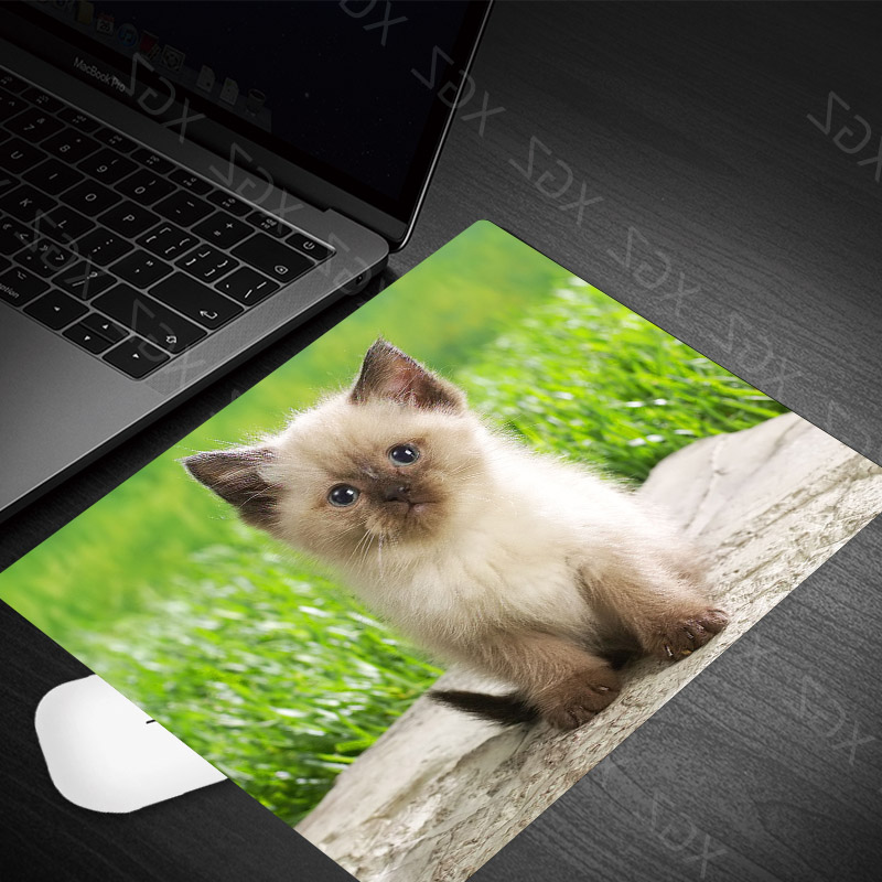Yzuoan Cute Cat Kitten Animal Keyboard Game Notebook Mouse Pad Game Pad Mouse Desk Mat: 22x18-9