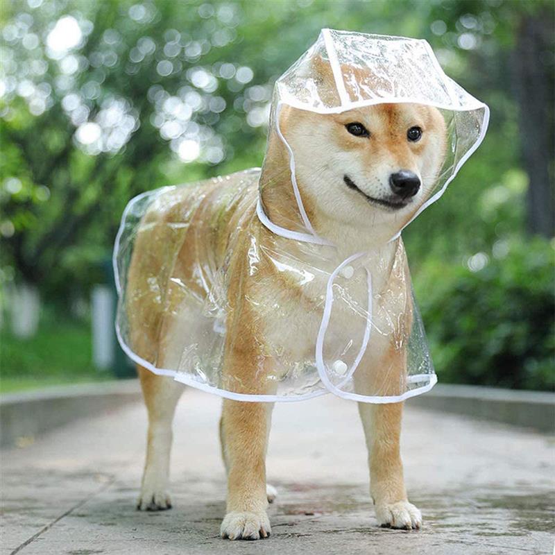 Vanntett kjæledyr regnfrakk valp bamse stor hund regn ut klær gjennomsiktig regnfrakk pustende lett hund regn poncho