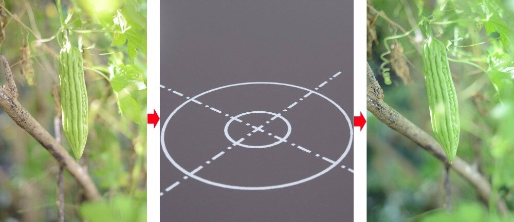 12'' Inch 30CM 18% Foldable Grey Card Reflector White Balance Double Face Focusing Board With Carry Bag