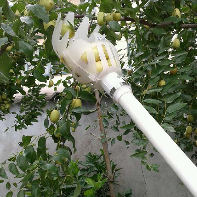 Kas plastic fruitplukker opvangbak fruitoogstgereedschap tuinieren landtuin gereedschap en gereedschap hydrocultuur