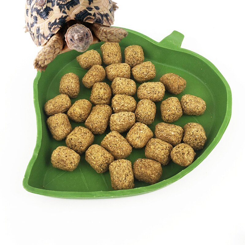 Cuenco de agua y comida para reptiles y tortugas, comedero de hoja para comida, plato, comedero de reptiles