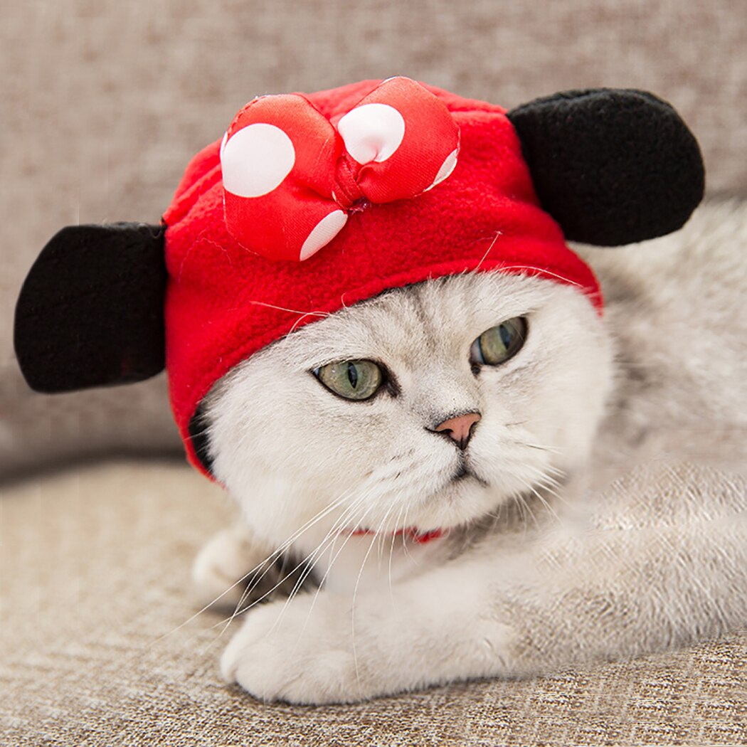 Chapeau et amusant pour chien et chat, Costume pour animal de compagnie, accessoire de déguisement, accessoire de fête: Bowknot