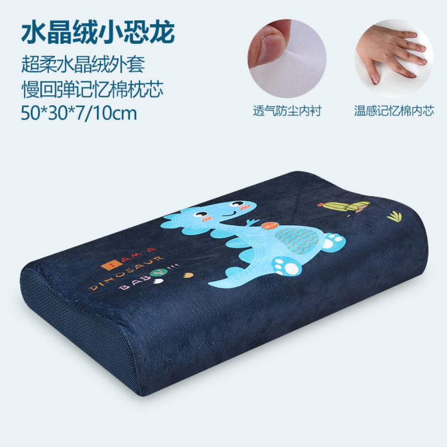 Memory Foam Bed Orthopedisch Kussen Voor Nekpijn Slapen Gezondheid Met Geborduurde Fijne Fluwelen Kussensloop Thuis 60*30Cm top F0436: 15