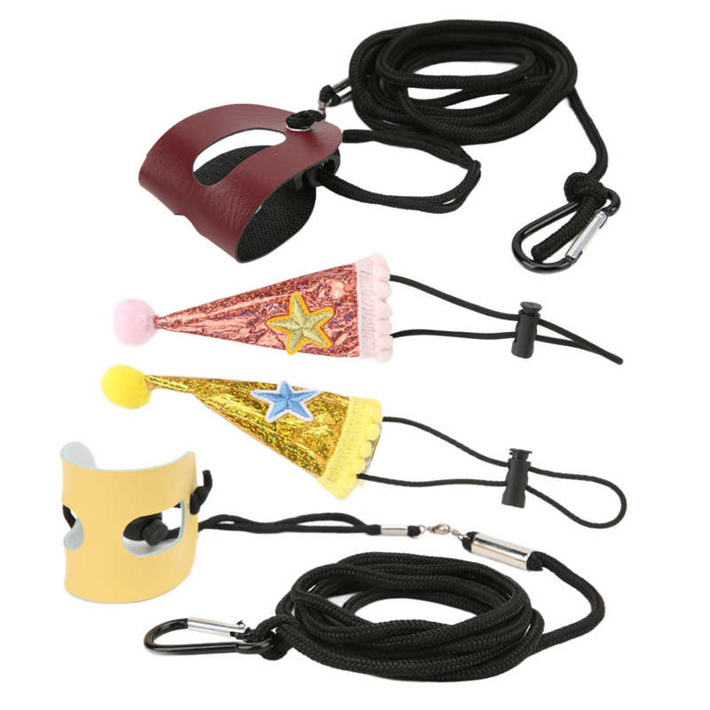 Conjunto de arnés de correa de lagartija, dragón barbudo ajustable para otros animales pequeños de compañía para anfibios