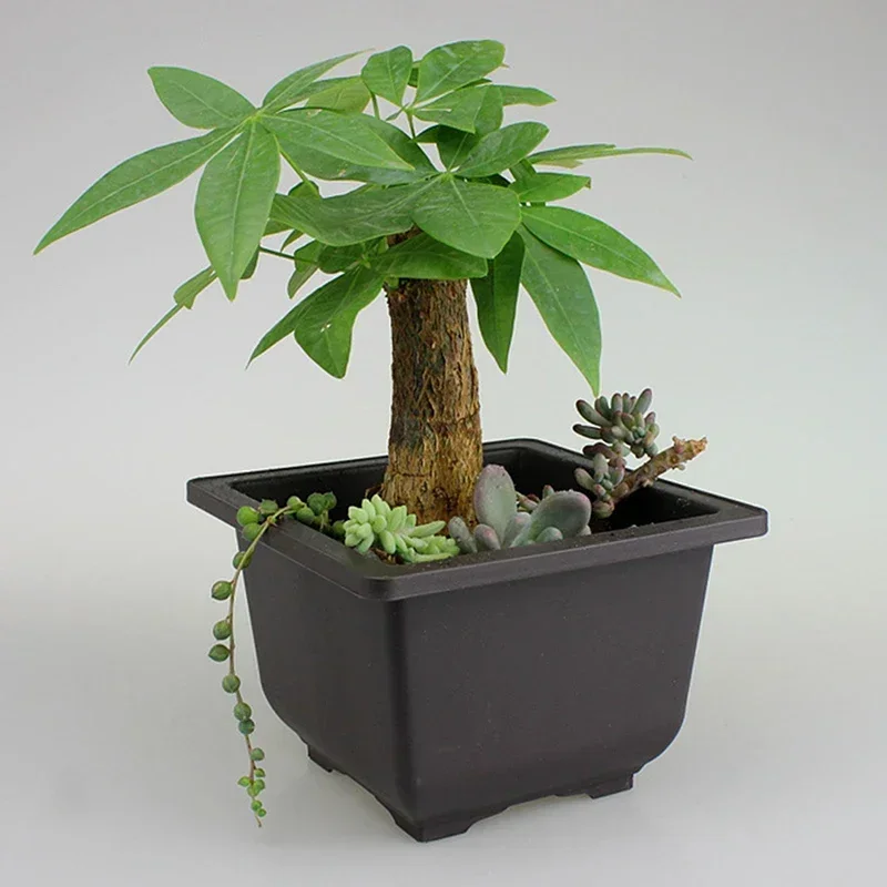 1PC Platz Blumentopf Nachahmung Kunststoff Balkon Töpfe Blume Bonsai Schüssel Kindergarten Becken Pflanzer Nachahmung Rechteck Blumentöpfe