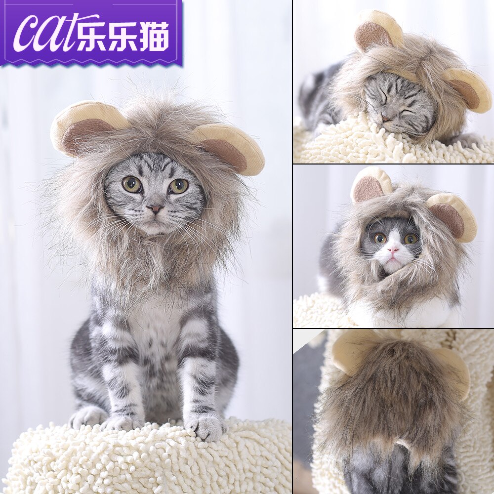 Nakrycia głowy lwa, czapka dla kota, śliczna transformacja, ozdobny kot akcesoria, nakrycie głowy kota, peruka, zabawny kapelusz dla psa