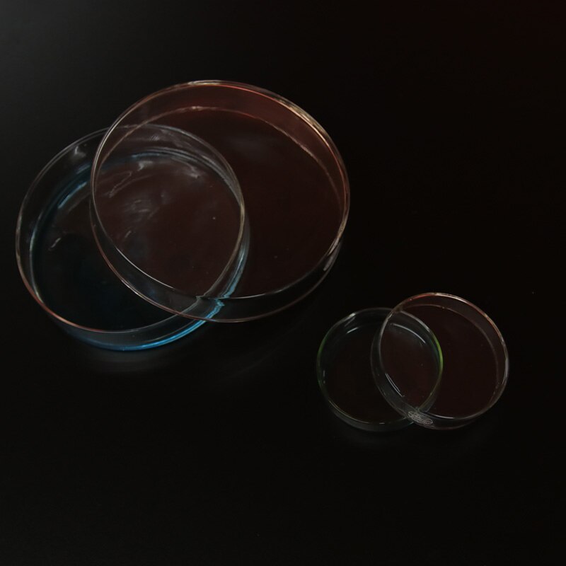 20 Pieces Laboratory Plastic sterile 15mm * 60mm Petri Dish