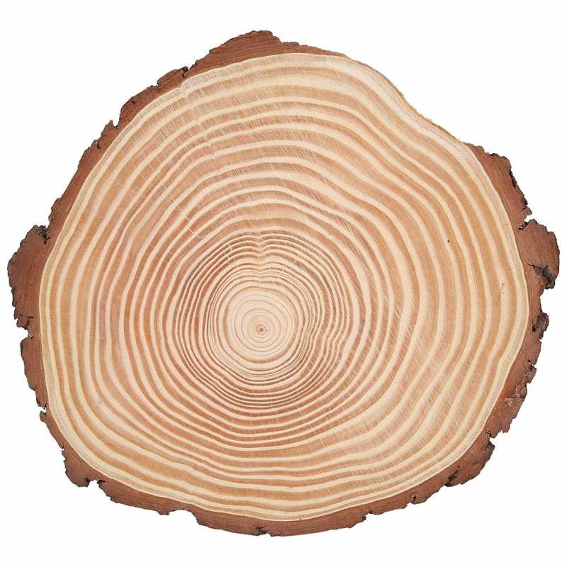 Bois Tranches Tranches De Bois Naturel Inachevé Cercles de Bois Ornements Irréguliers Tranches De Bois avec Écorce Tranches De Bois Naturel: 29 x 26