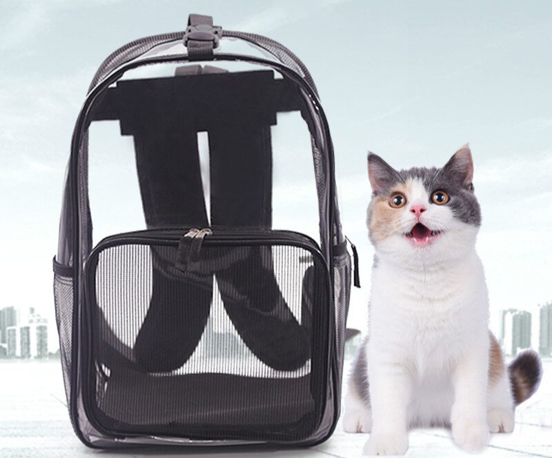 Huisdier Rugzak Kat En Hond Universele Transparante Reistas Uit Rugzak Kat En Hond Rugzak
