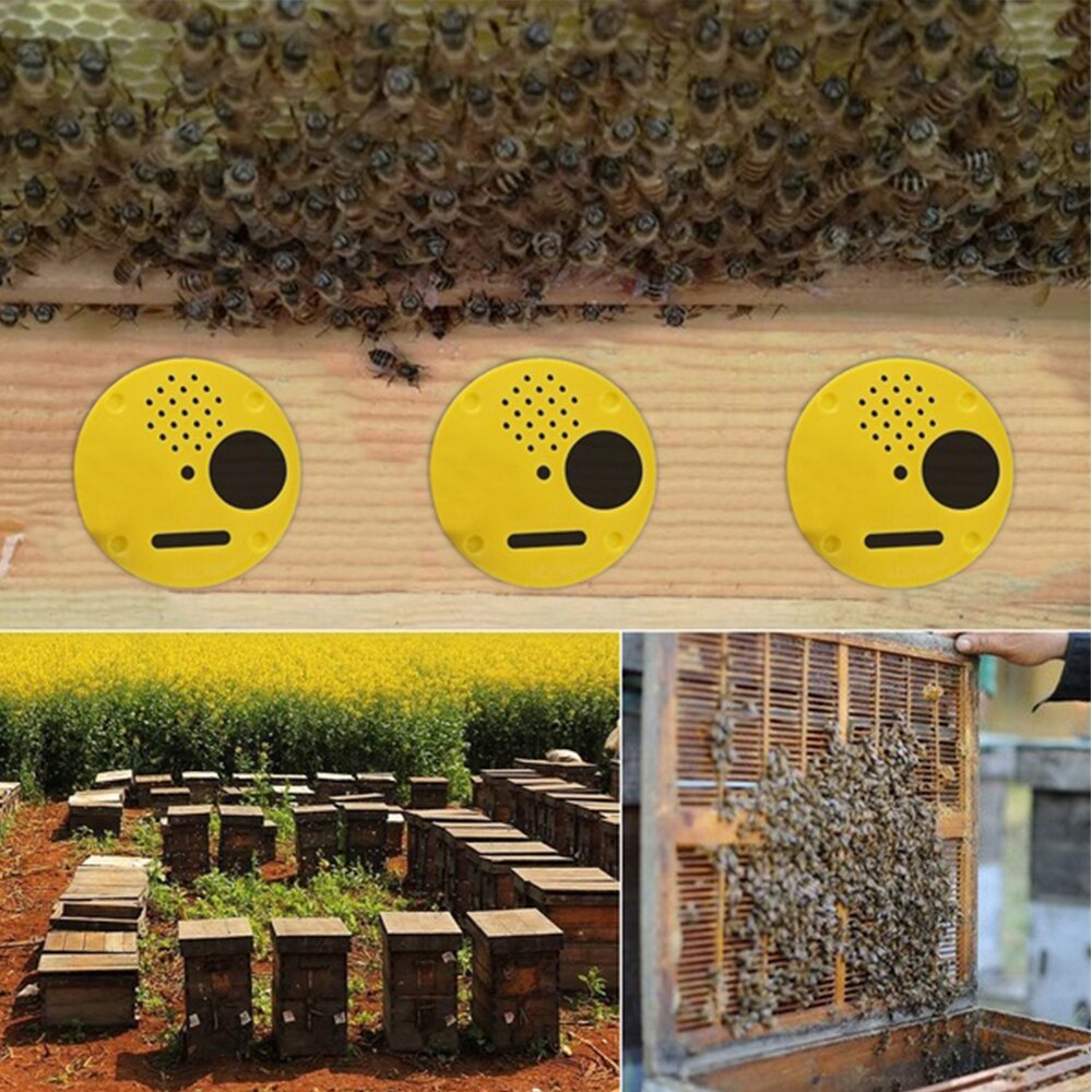 Caja de colmena de abejas, 12 Uds., caja de entrada, disco de plástico, puerta de nido de abeja, compuerta de entrada de panal, equipo de herramientas de Apicultura