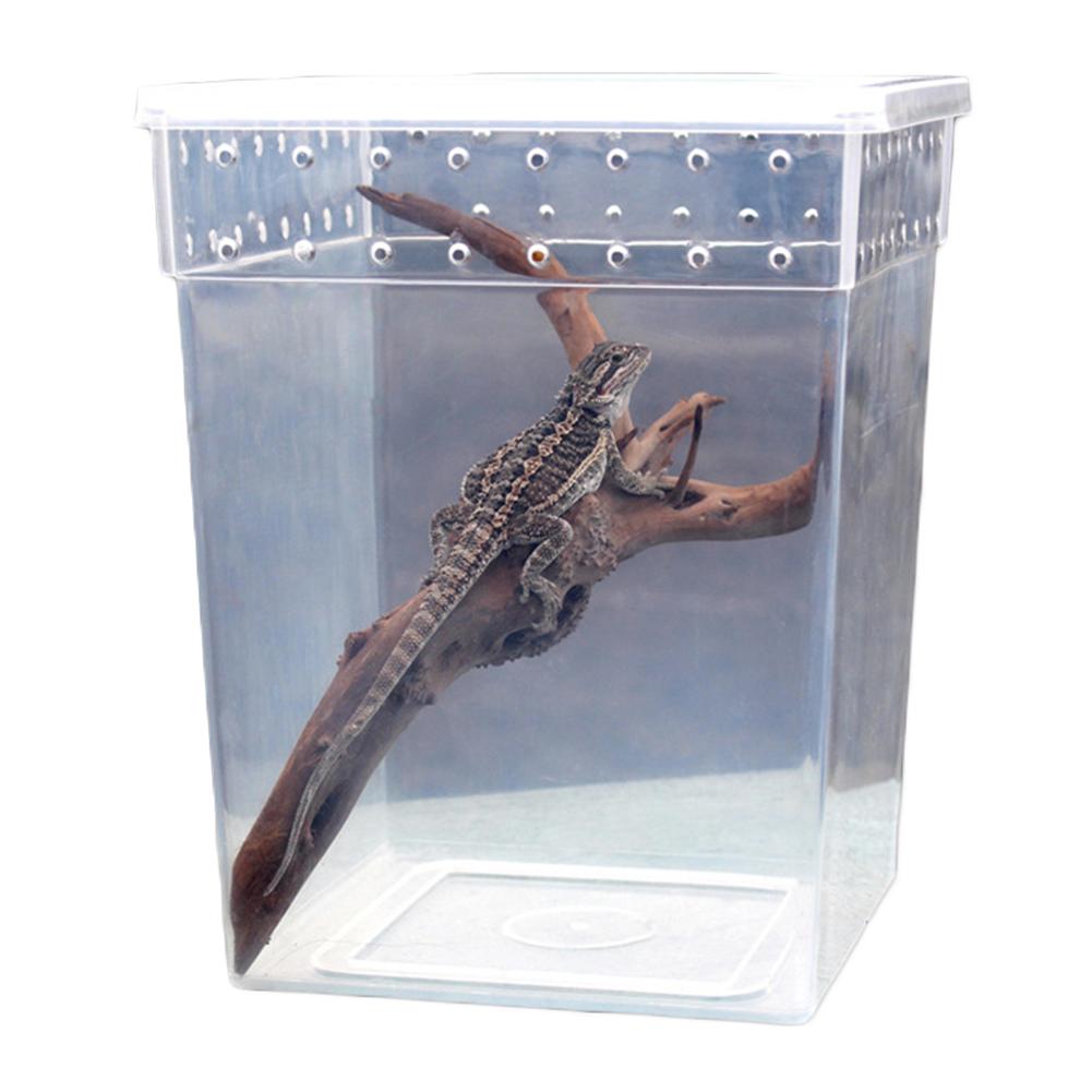 Reptil matningslåda genomskinlig klätterfodral för djur för att uppfostra djur spindel gecko horn groda orm skorpion orm foderfodral