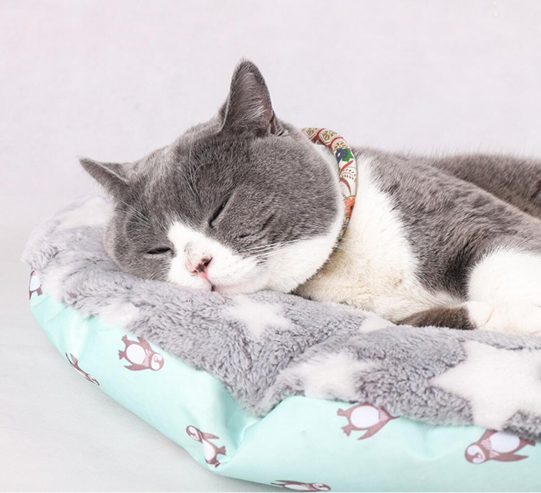 Tapis de chat confortable et mignon, coussin et Durable pour chiens et chats
