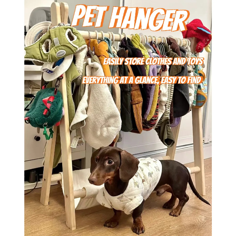 Garde-robe en bois massif pour animaux de compagnie, garde-robe pour chien, porte-manteau pour chat, petit support de rangement pour vêtements
