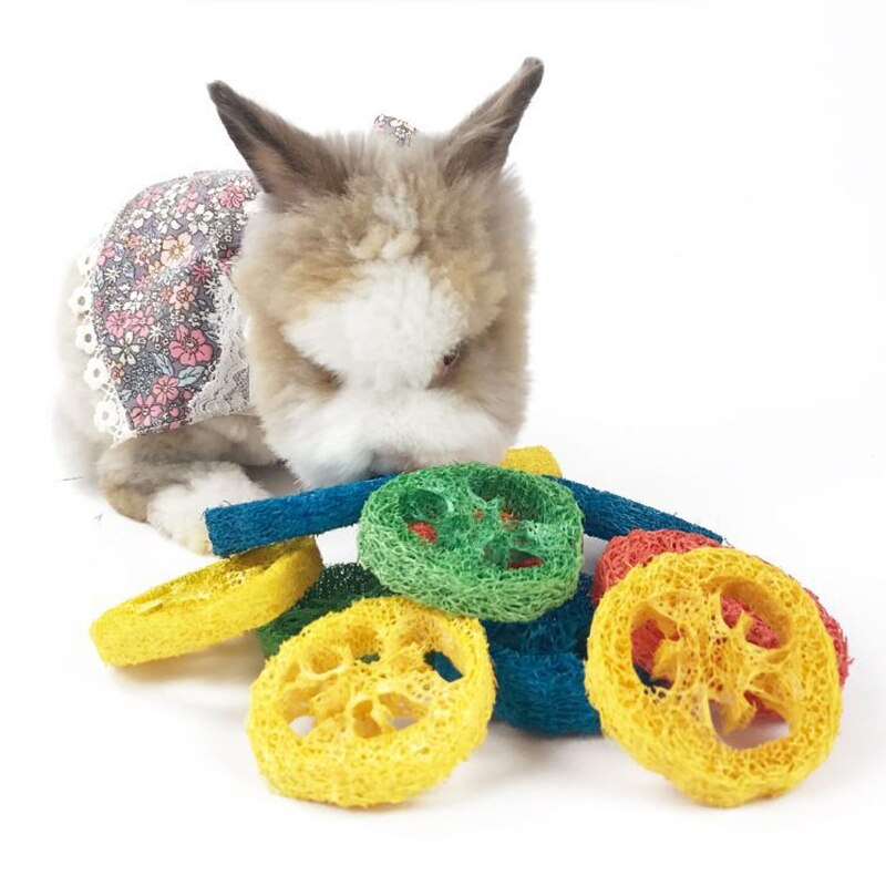 Rodent Pets Chewing Stick Healthy Odor Free Little Animal Molar Snacks 14 Pieces Hamster Teeth Training Toy Handmade