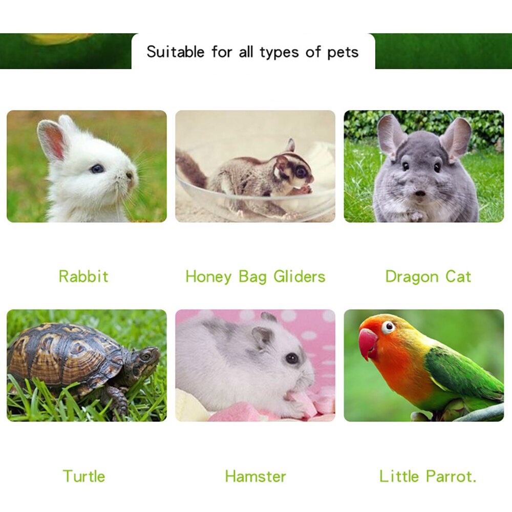 Pet Heating lamp Infrared Ceramic Light With Safety Cage Emitter Heat Lamp Pet Supplies Chickens Reptile Lamp