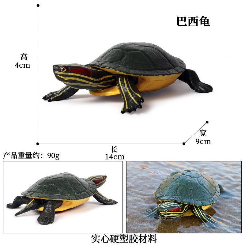 Simulatie Oceaan Dier Zeeschildpad Serie Model Action Figures Collection Miniatuur Cognitie Creativiteit Speelgoed Voor Kinderen: M-688