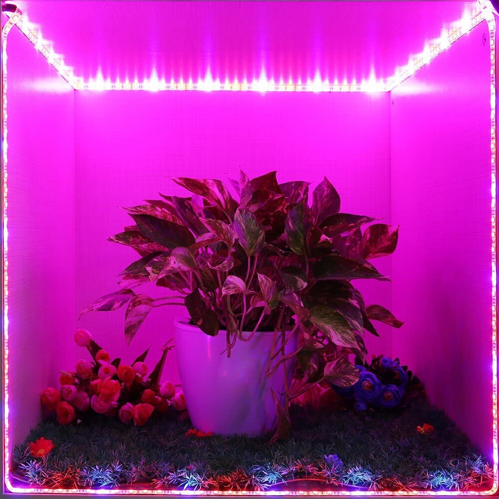 LED Grow Light Full Spectrum USB Grow Light Strip 0.5m 1m 2m 3m 2835 SMD DC5V LED Phyto Tape for Seed Plants Flowers Greenhouses