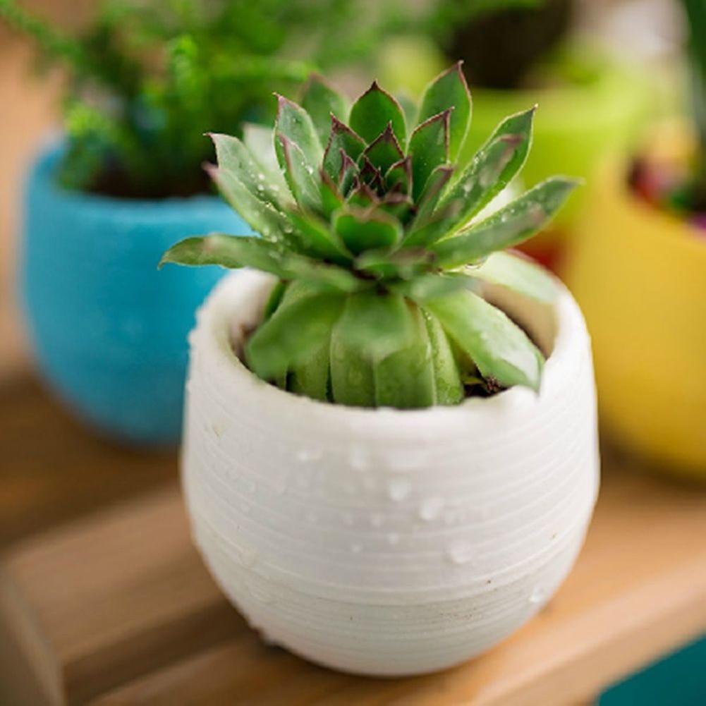 Eco-friendly Colourful Mini Round Plastic Plant Flower Pot Garden Home Office Decor Planter Plant Flower Pot Planter