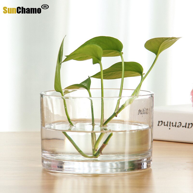 10*10Cm Transparante Kleine Vierkante Glazen Bloempotten Vaas &amp; Glas Plant Pot Cup