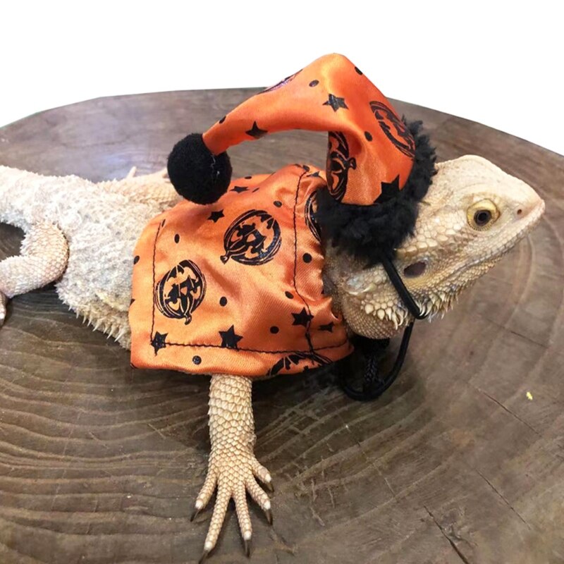 Conjunto de disfraz de lagarto ajustable, sombrero de Halloween de dragón barbudo y capa naranja con estampado de calabaza, suave y cómodo