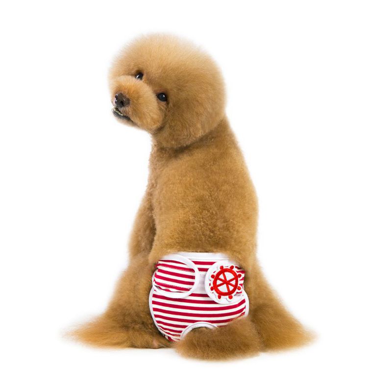 Dog Stripes Physiological Pants for Female Dogs Pets Menstruation Shorts Pants Pet: Red / L