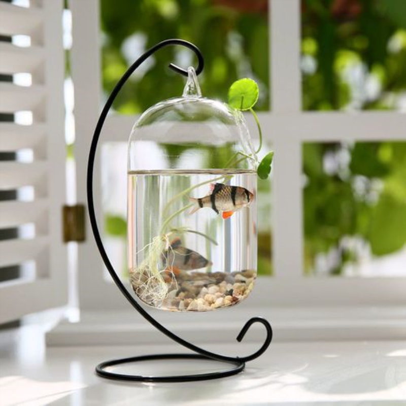 Hanging Mini Fish Tank Black Rack Glass Goldfish Tank Aquarium Household Bucket Fish Tank With Sand Conch Shell Plants