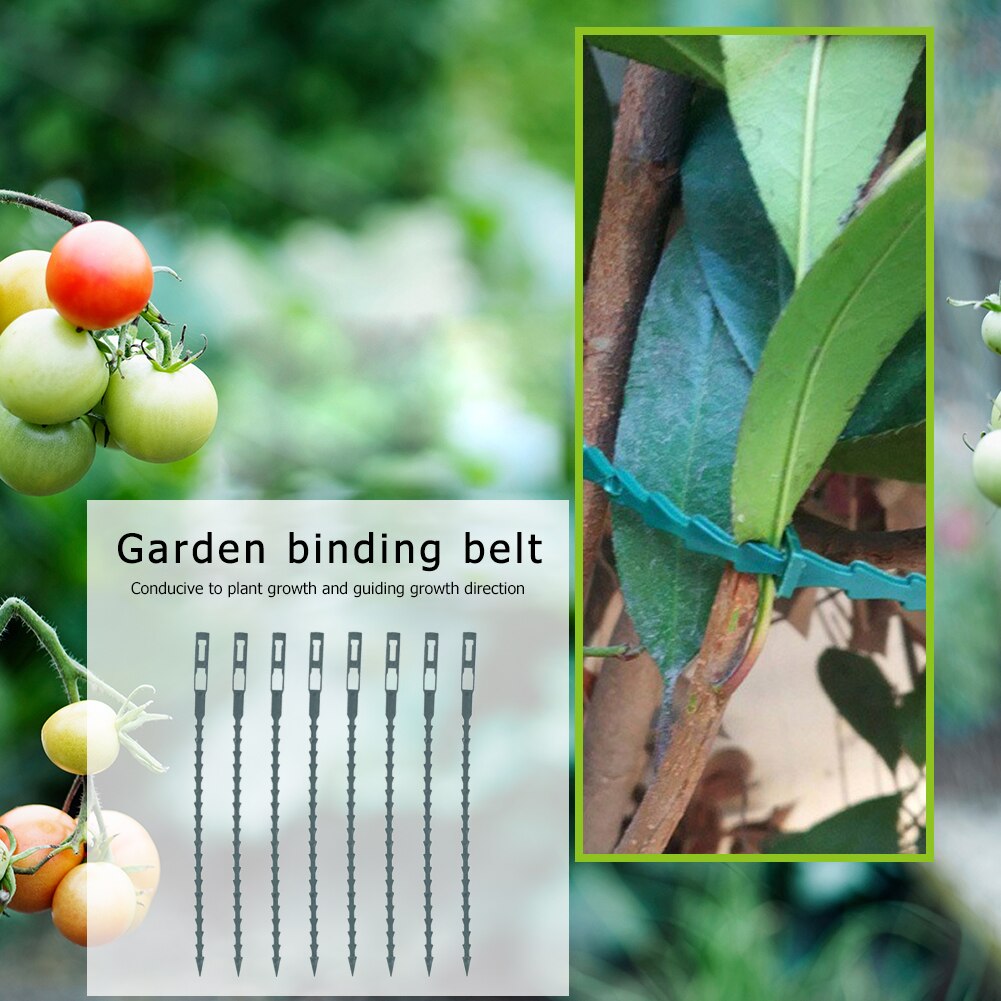 50PCS Tree Ties Adjustable Plant Ties Garden Ties Flexible Plant Cable Ties For Supporting Rose Shrub Plants Greenhouses Huerto