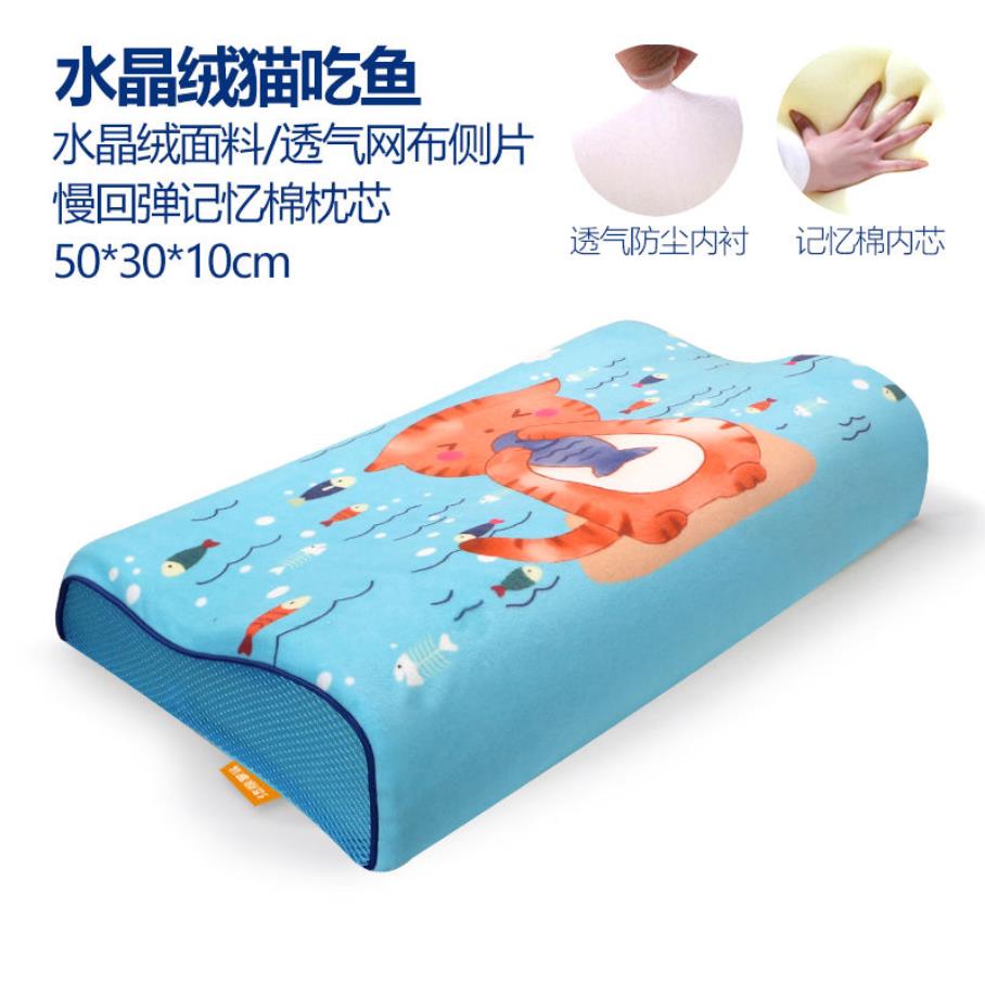 Memory Foam Bed Orthopedisch Kussen Voor Nekpijn Slapen Gezondheid Met Geborduurde Fijne Fluwelen Kussensloop Thuis 60*30Cm top F0436: 12