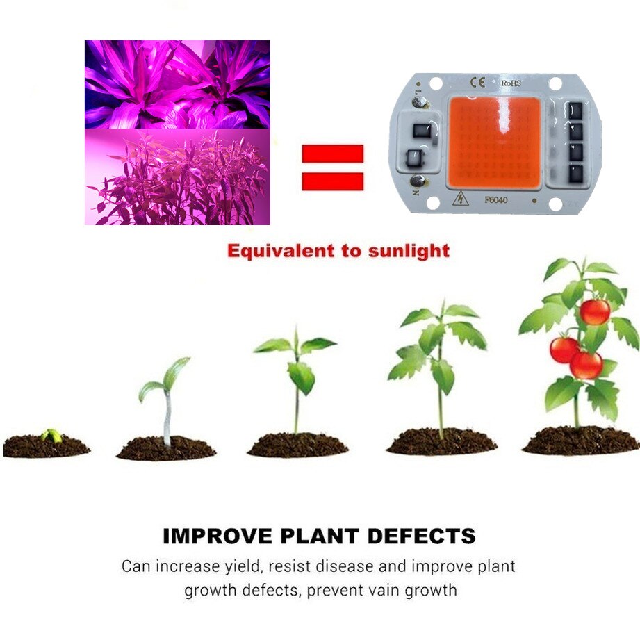 220V Led Chip 20W 30W 50W Cob Chip Geen Behoefte Driver Led Lamp Kralen Voor Overstroming licht Spotlight En Wandlamp Straat Licht Lampada