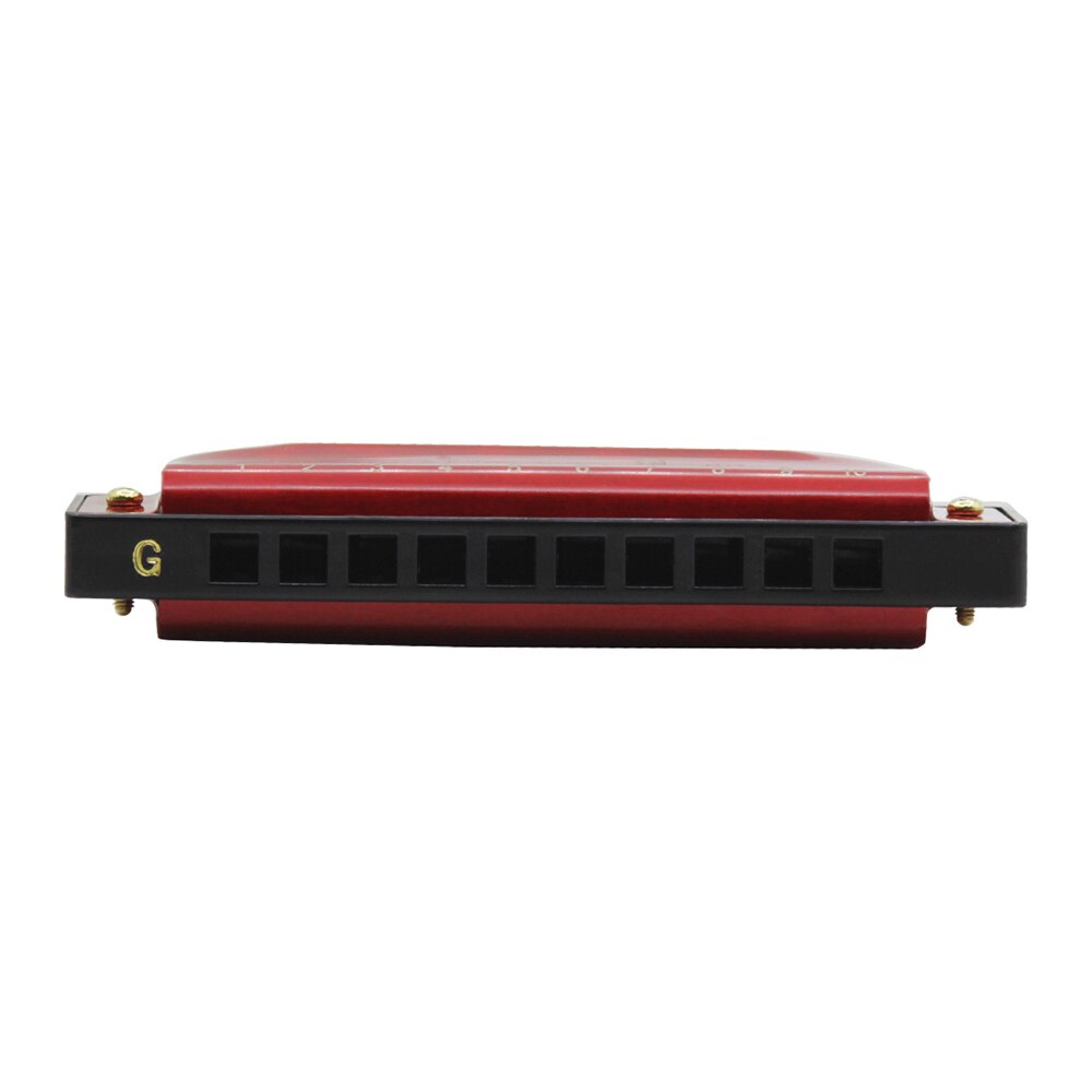 Mouthorgan 10 Gaten 20 Tones Sleutel Van G Blues Harmonica Met Abs Doos Voor Beginners Wind Instrument