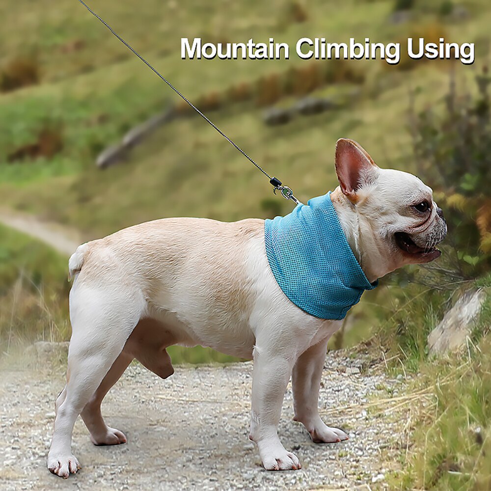 Multifunctionele Hond Cooling Kraag Zomer Ademend Ijs Handdoek Huisdier Koeling Sjaal Voor Honden Kat Cooling Neck Wrap Halsband