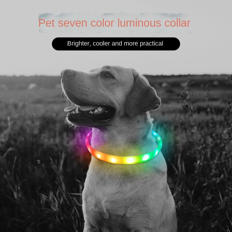 collar perro luz led collar luminoso perro Collar con luz Led para perros, accesorio luminoso para mascotas, grandes, medianos y pequeños
