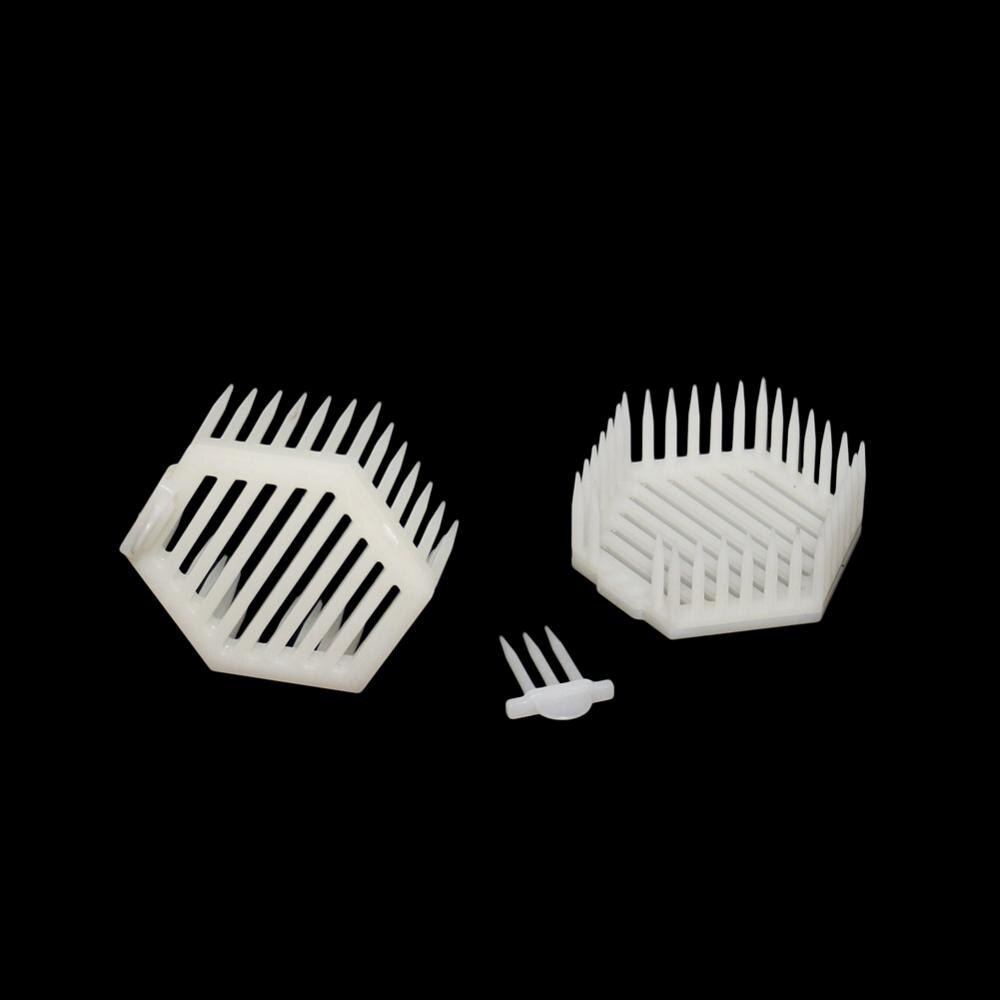 Bee Tools Hexagon Crown Of Thorns Needle Cage Plastic Queen bee Prisoner Cage Beekeeper Apiculture equipement 20 Pcs: Default Title