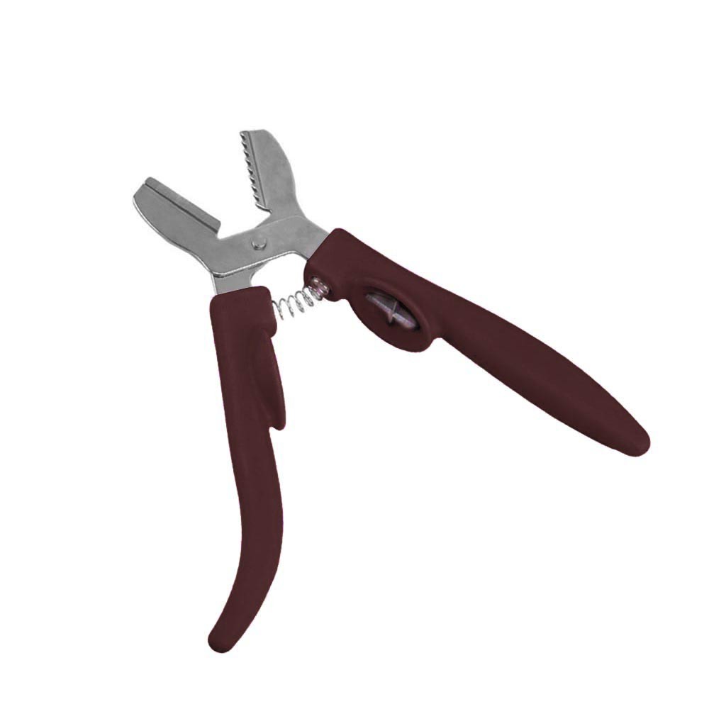 Stainless Steel Chestnut Clip Plastic Stainless Steel Walnut Clip Sheller Chestnut walnut Opener kitchen tool: COFFEE