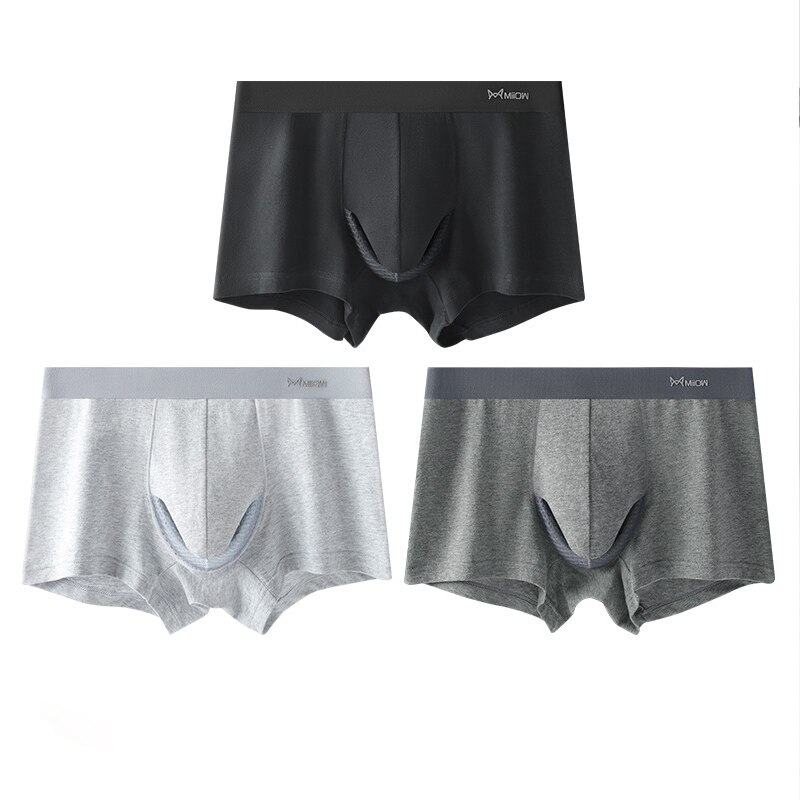 2022 3Pcs Sexy Organic Cotton Boxers Shorts Underpants Soft Cotton Trunks Man Underwear Boxer Men Freegun Breathable Mesh Panty: 3Pcs-M1751-3D / L