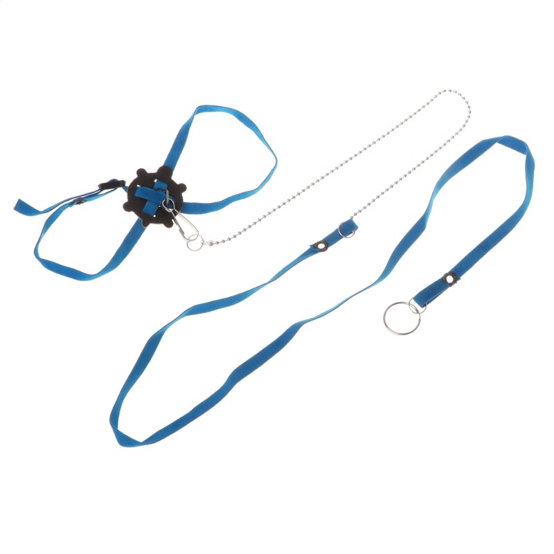 Arnés para mascotas, correa para reptiles, Tortuga, lagarto, ajustable, entrenamiento al aire libre, suave,: Blue