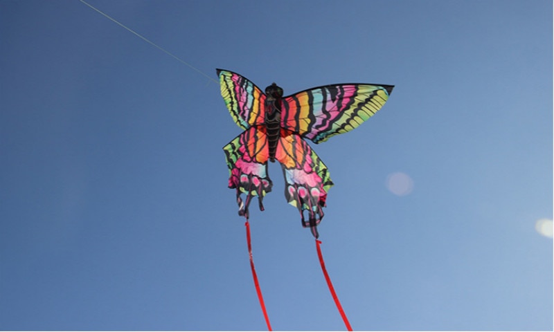 Tabby papillon cerf-volant coloré animal cerf-volant ligne unique longue queue larme sports de plein air jouet volant enfants avec ligne de cerf-volant