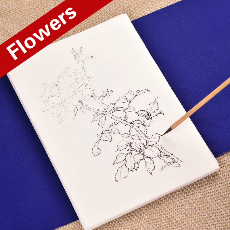 Papier de traçage de ligne de fleur, branche d&#39;arbre chinois, fleurs, peinture de manuscrit, cahier de dessin, peinture aquarelle chinoise