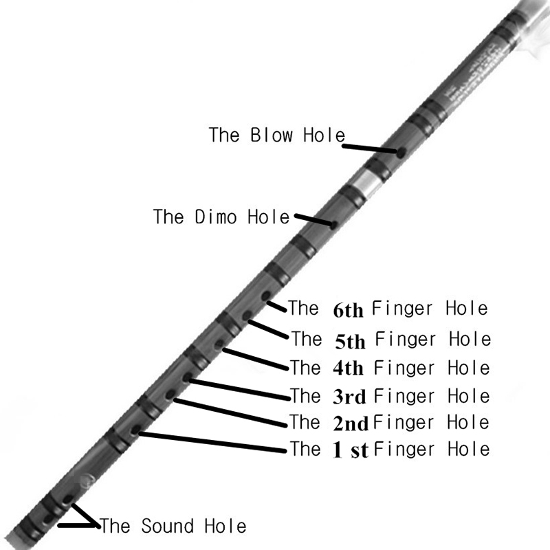 Instrumento tradicional hecho a mano, étnico chino, Flauta de bambú/dizi Transversal Flauta C D E F G tono clave