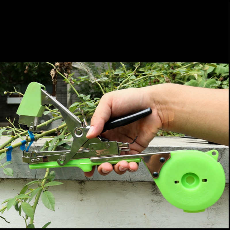 Vigne branche attachant bande Machine cravate agrafeuse fruit pieu sangle bande tronc main attachant raisin branche concombre muscadine tomate