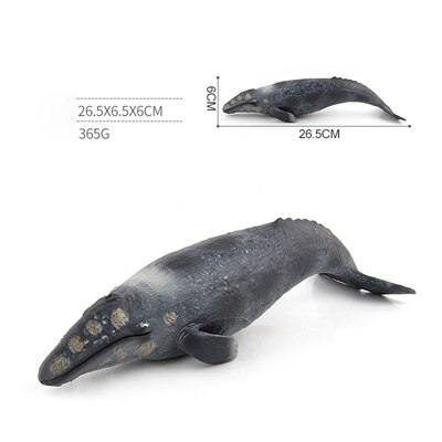 Classic Toys Whales Blue Whales Marine Animal Models Undersea Creatures Killer Sharks Whales Series Whale Toys: E